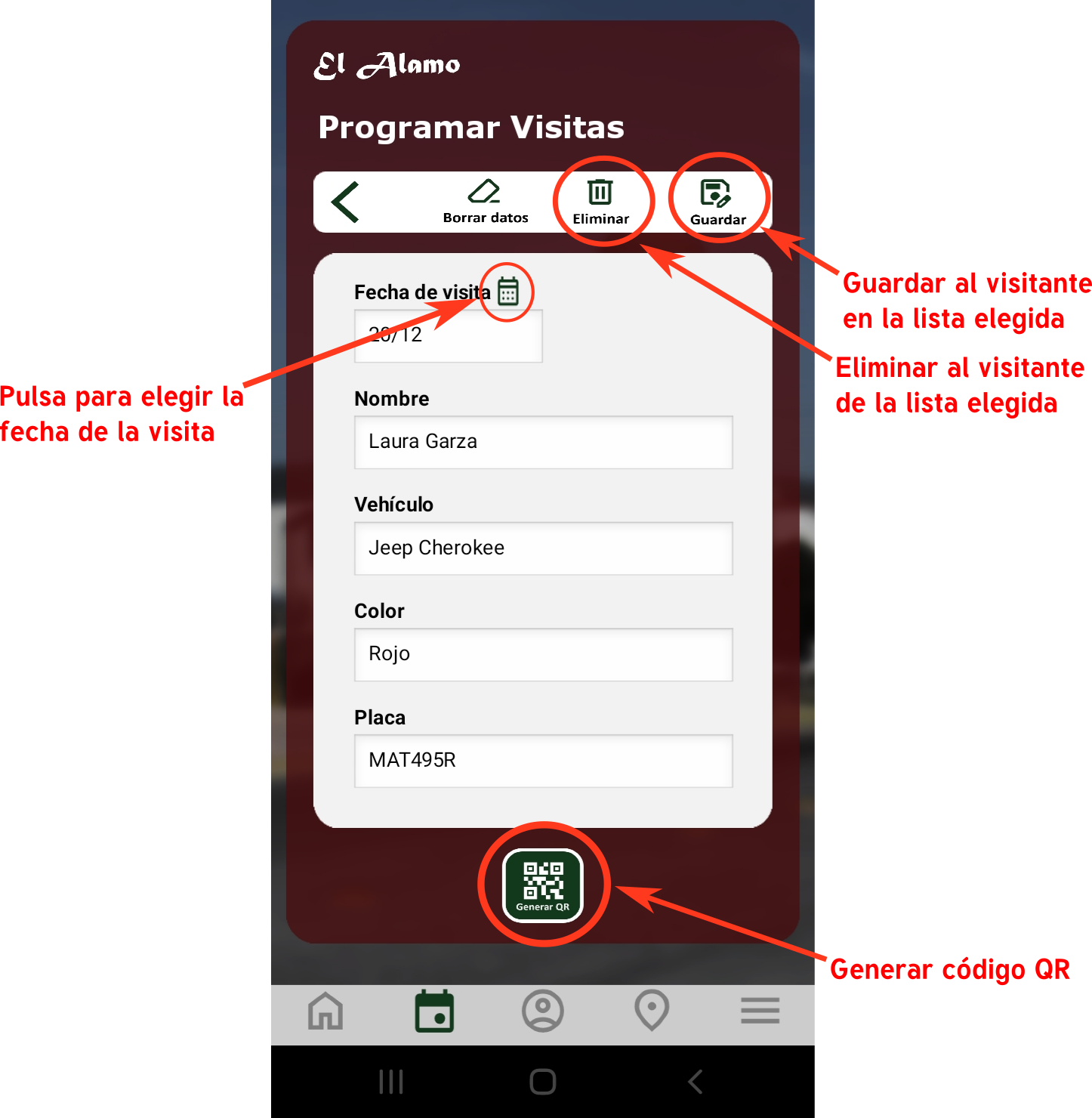 MiAlamo pantalla DATOS
