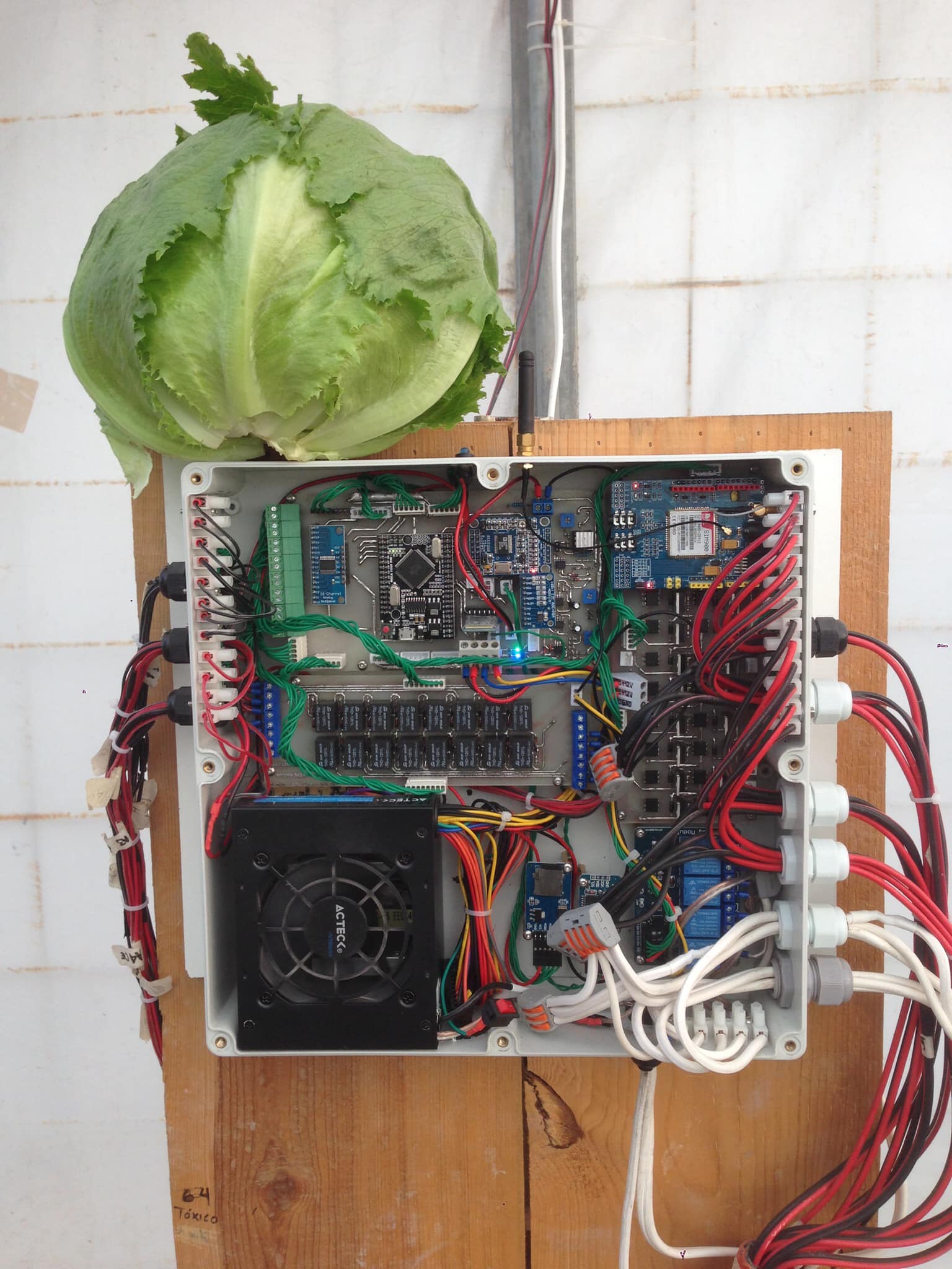 Agricultural Automation Example